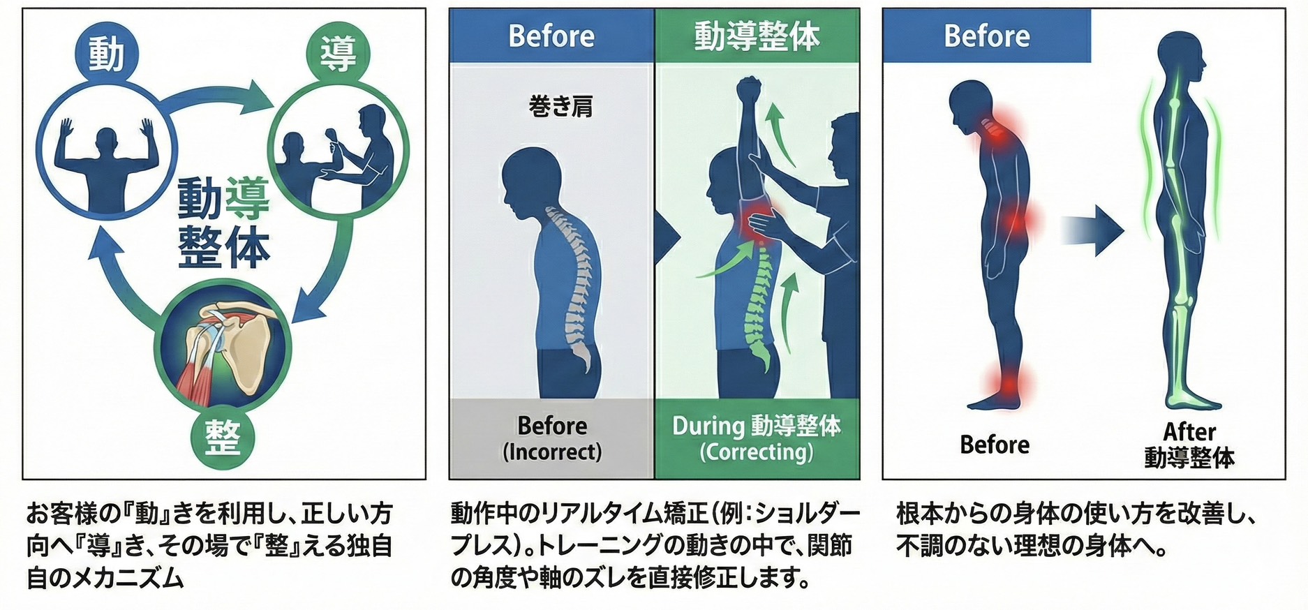  【プレミアムオプション②：完成】動導（どうどう）整体