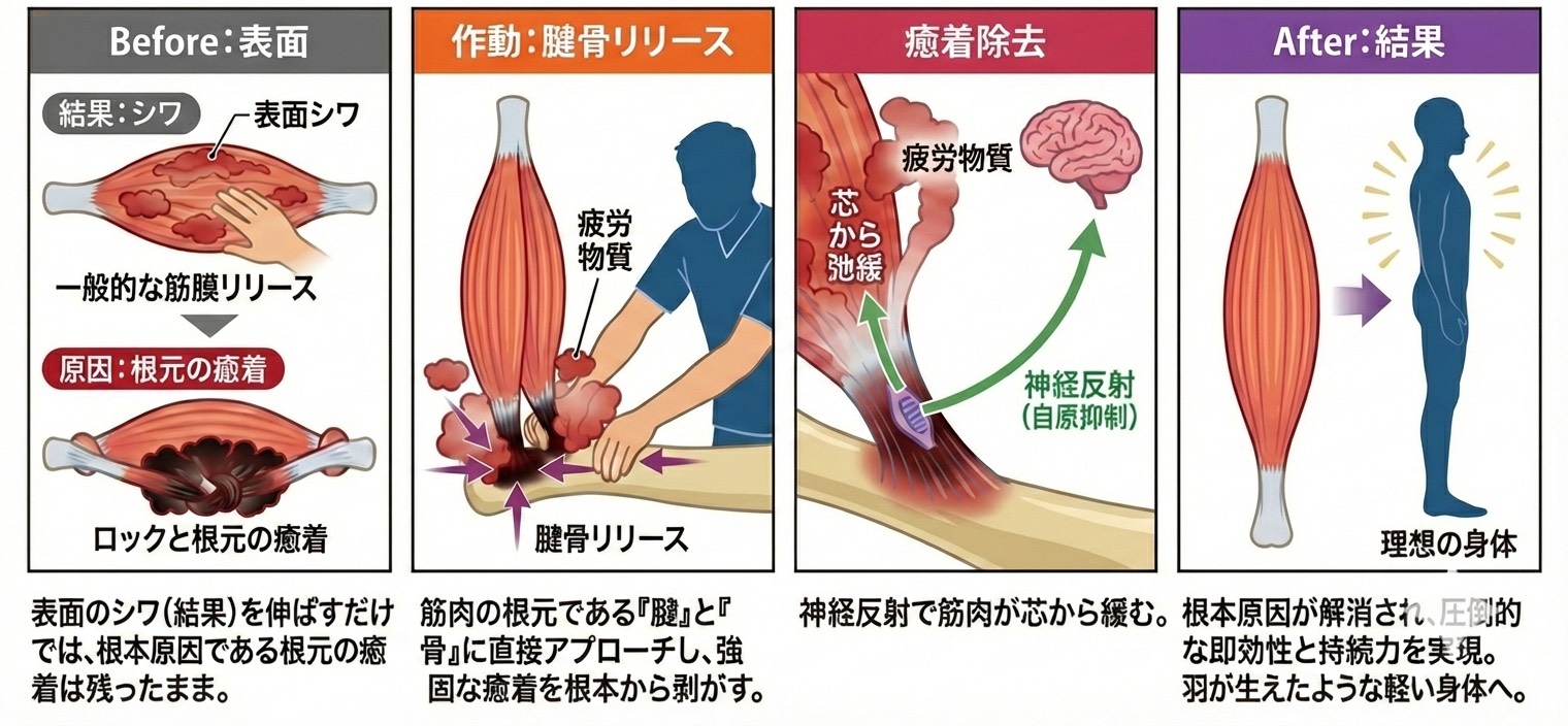  なぜ、他の施術では「ゴリゴリ」や痛みが消えないのか？