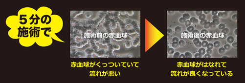 驚異の効果実感率98%と、科学的な裏付け