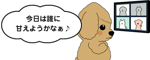 1日3名限定。完全パーソナライズされた至高の施術